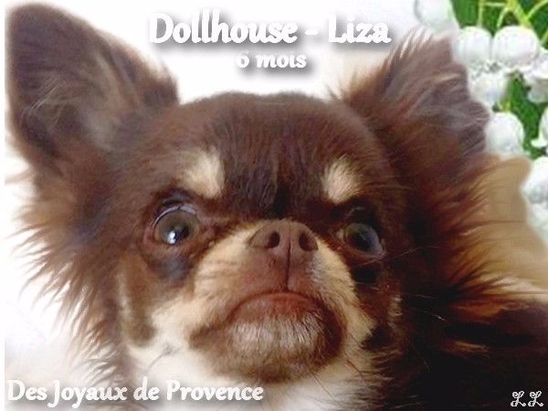 Dollhouse Liza